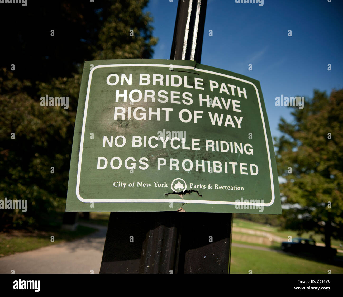 Horse riding in Prospect Park Brooklyn is a popular pastime with bridleways specifically for horses.  Date Shot 10/10/2010. Stock Photo