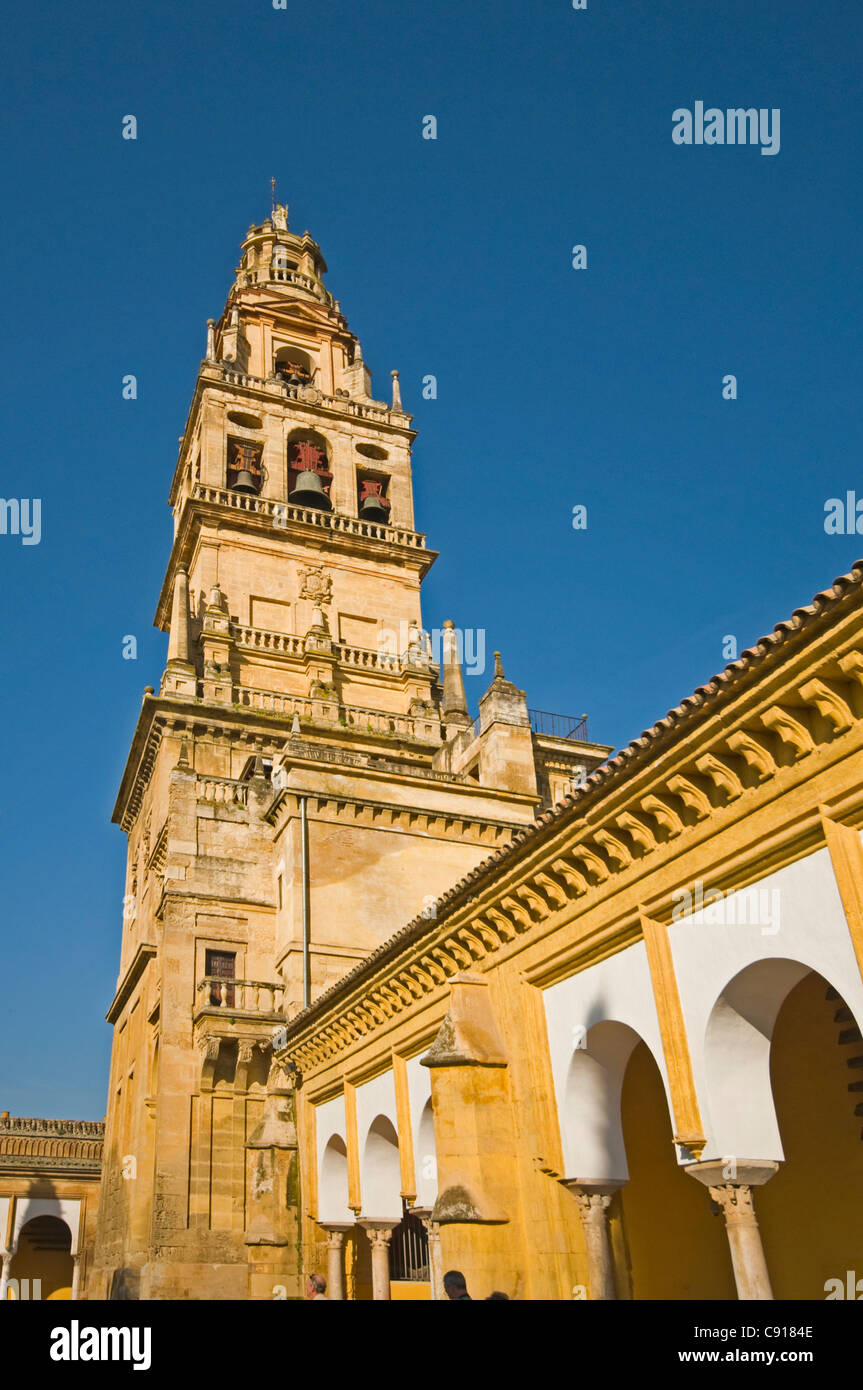 The Mezquita is a large complex in the city of Cordoba originally a mosque in the 8th century and now the Catedral de Nuestra Stock Photo