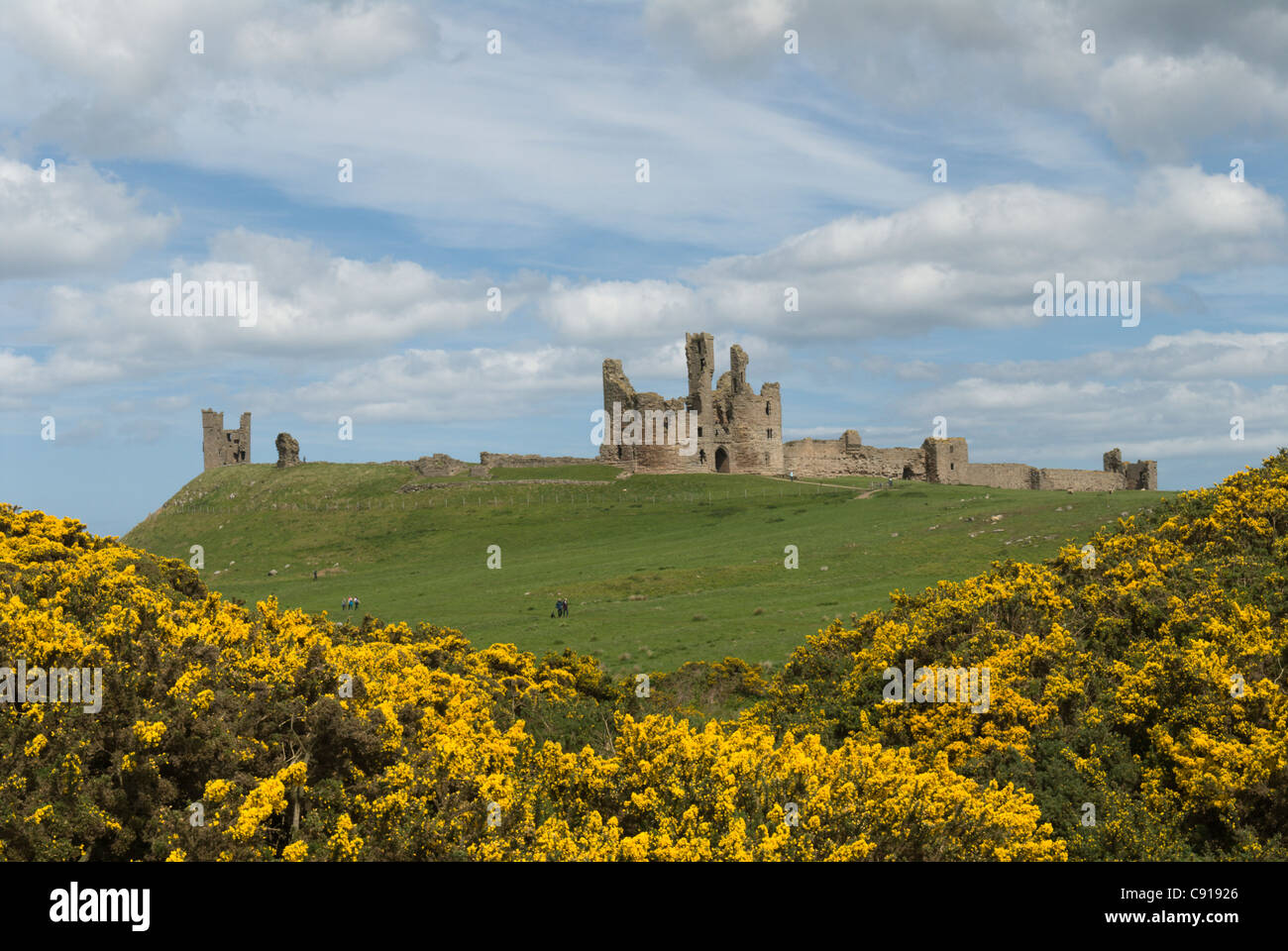 Dunstanburgh Castle is the largest castle in Northumberland. It was occupied until the 15th century. It is a Scheduled Ancient Stock Photo