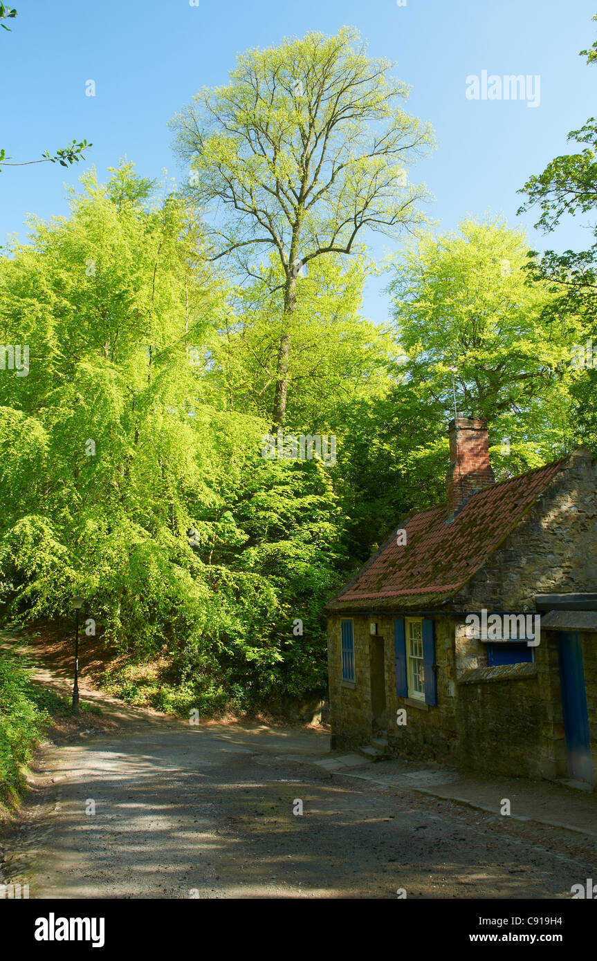 Prebends Cottage is an 18th century cottage on Quarryheads Lane on the banks of the River Wear