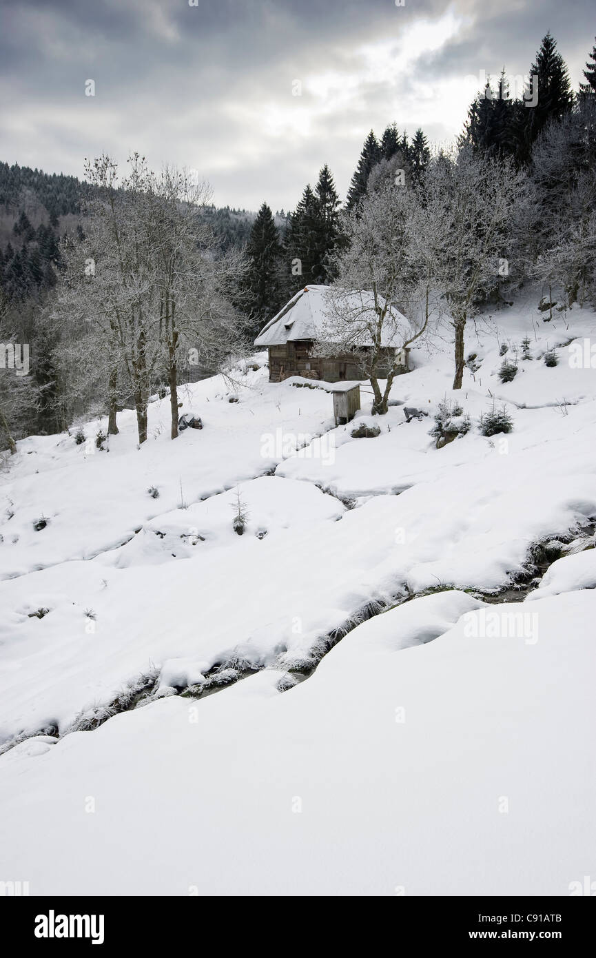 Snow-covered hut, Geiersnest, Bollschweil, Black Forest, Baden-Wurttemberg, Germany Stock Photo