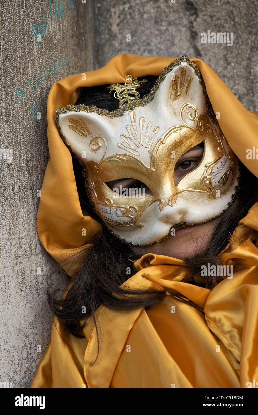 Carnival and cosplay cat mask