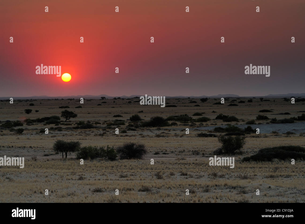 Savannah sunset hi-res stock photography and images - Alamy