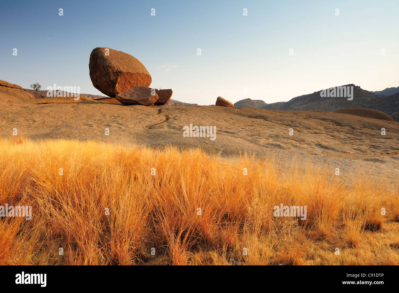 The gras of the savannah hi-res stock photography and images - Alamy