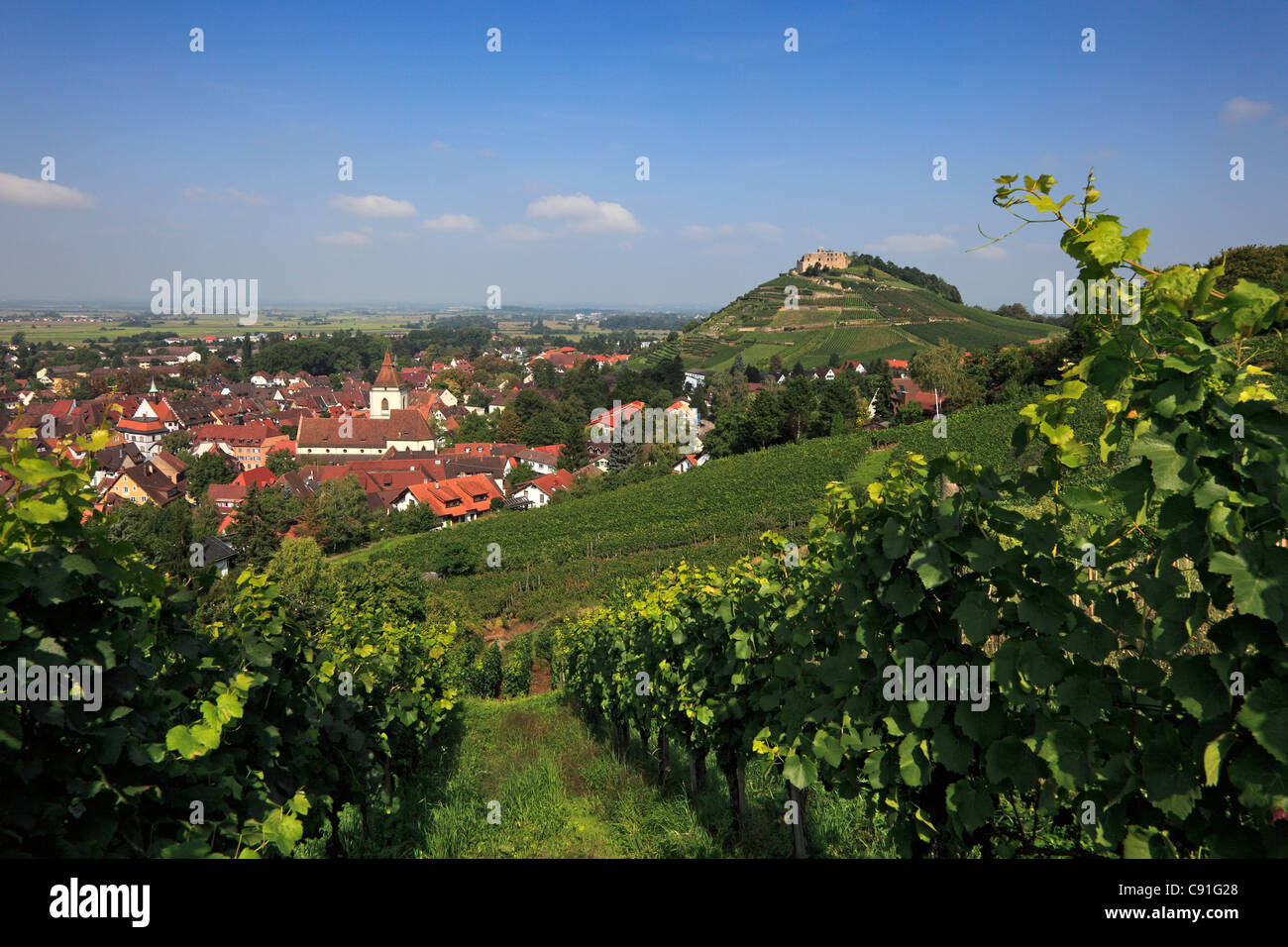 View from the vineyards to the castle, Staufen im Breisgau, Breisgau-Hochschwarzwald, Black Forest, Baden-Wuerttemberg, Germany Stock Photo