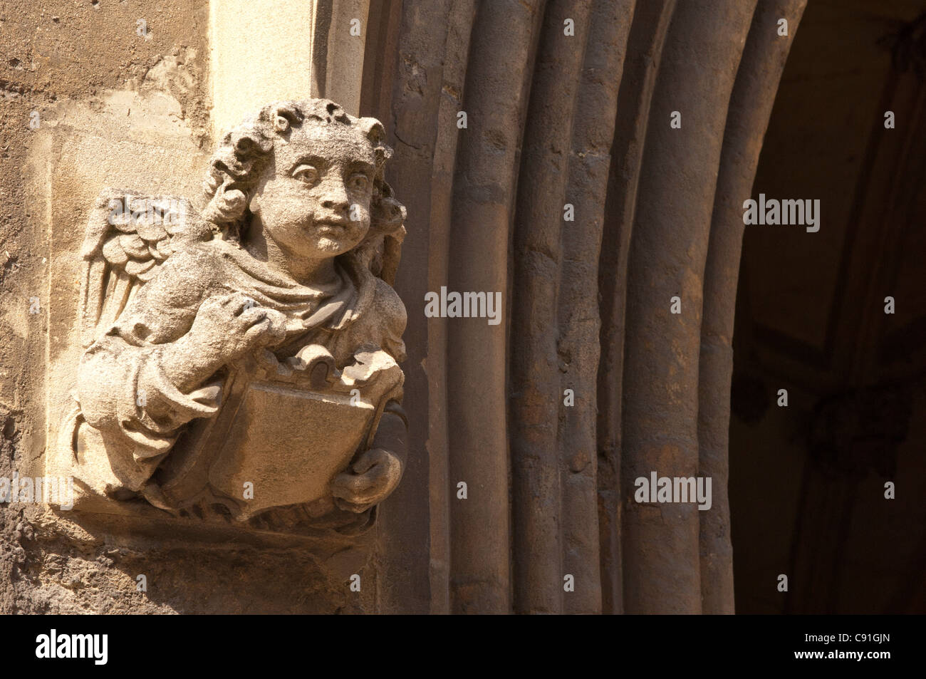 The Bodleian Library Oxford has an ornate entrance on Catte Street with ...