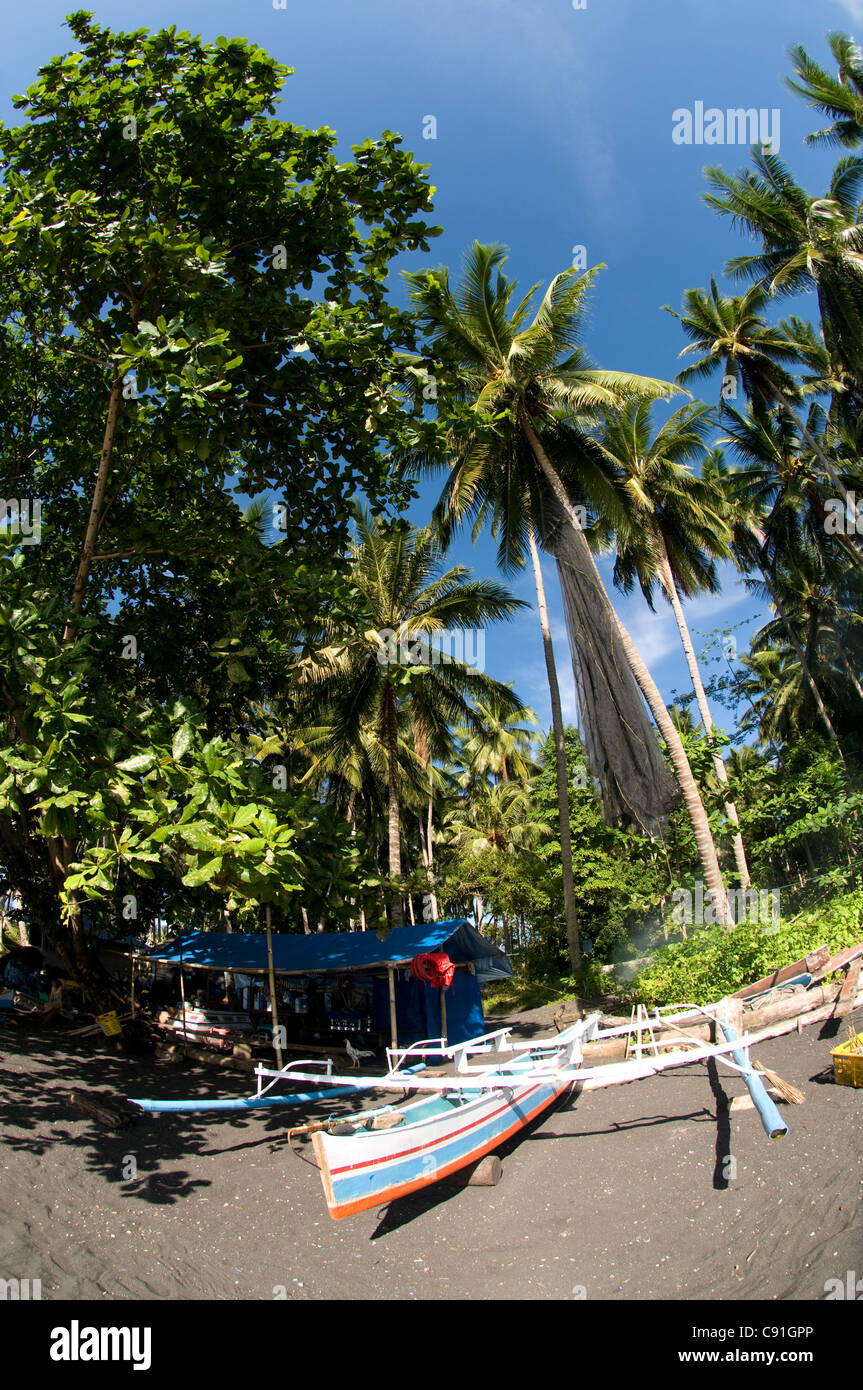 Black sand beach with boat and coconut trees, mainland opposite Lembeh Island, near Kasuari village, Lembeh Straits, near Bitung, Sulawesi, Indonesia Stock Photo