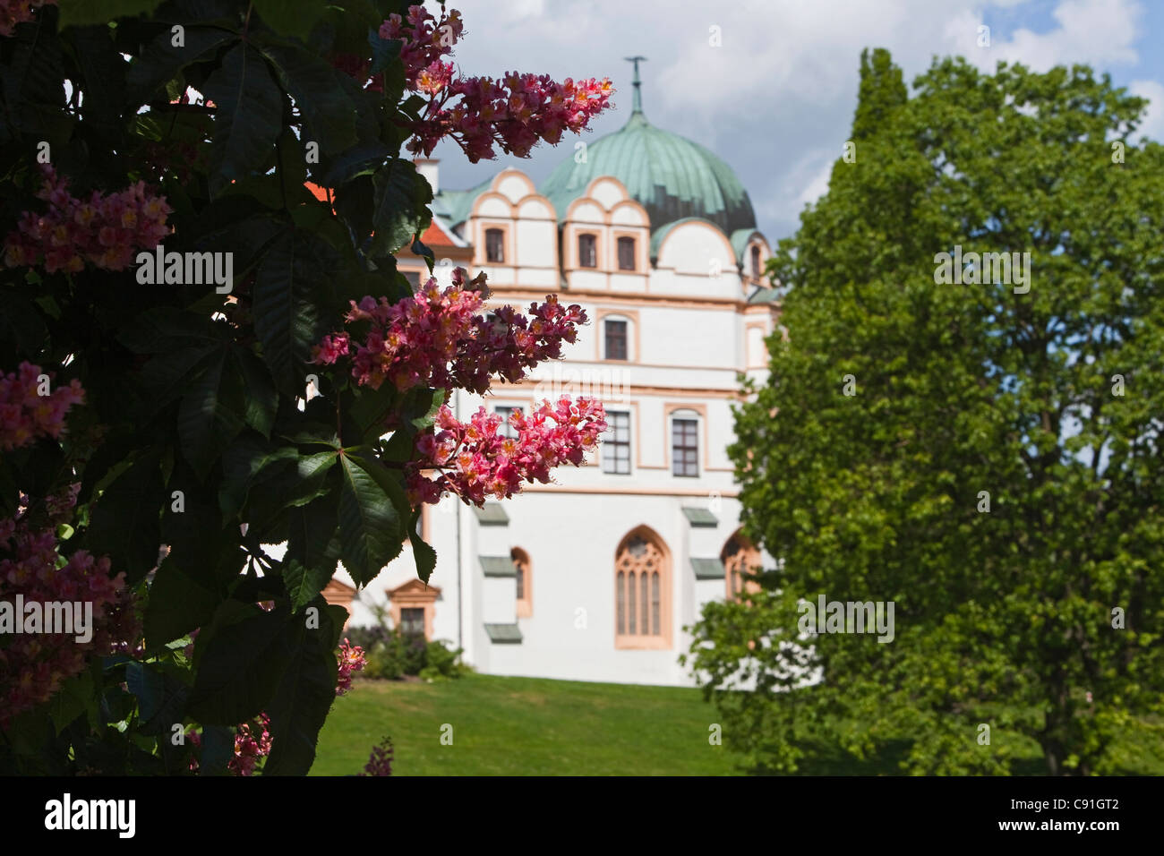 Red blosoms and trees in the castle gardens of Celle castle, Lower Saxony, Germany Stock Photo