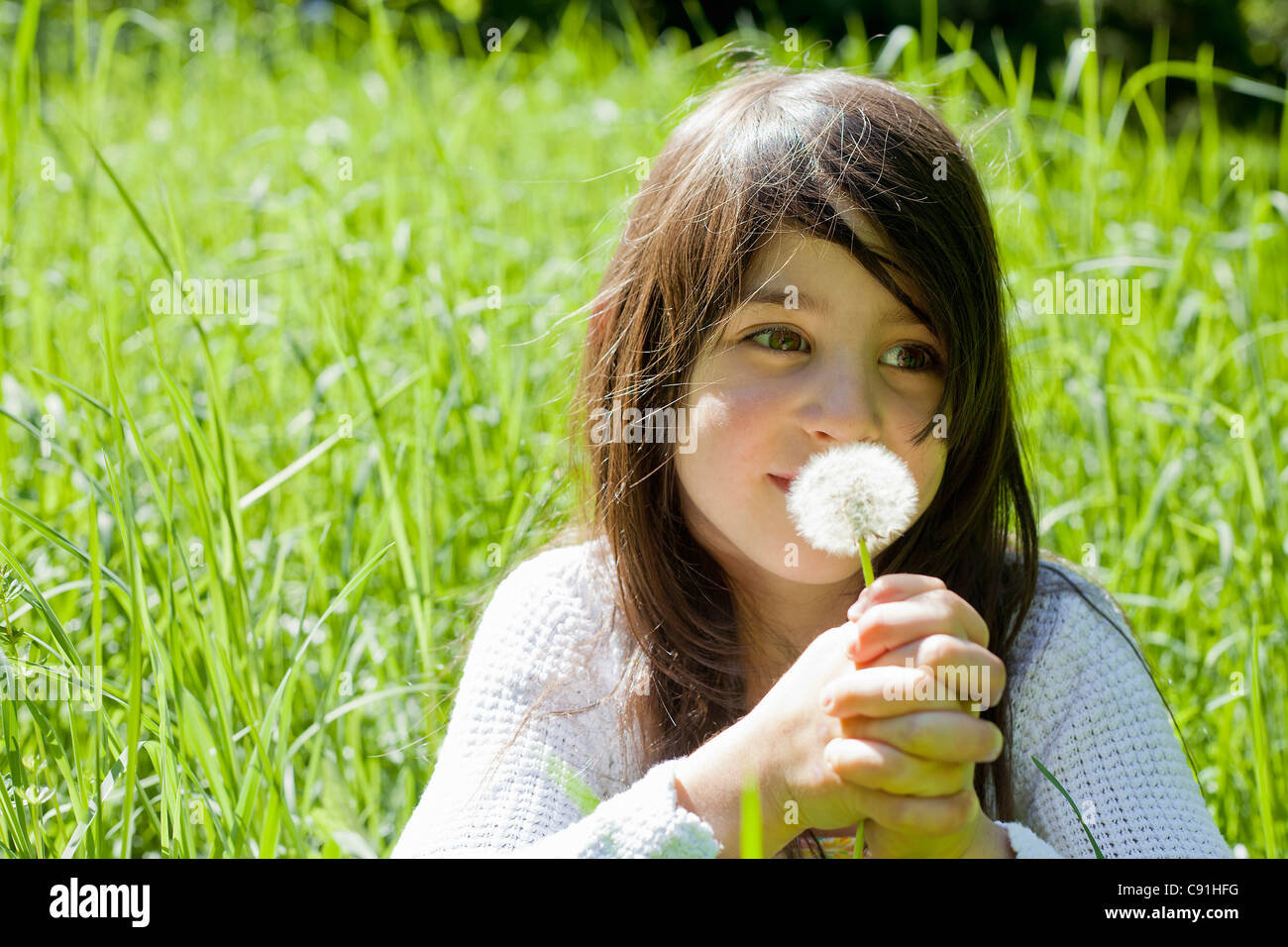 Girl smelling dandelion in tall grass Stock Photo