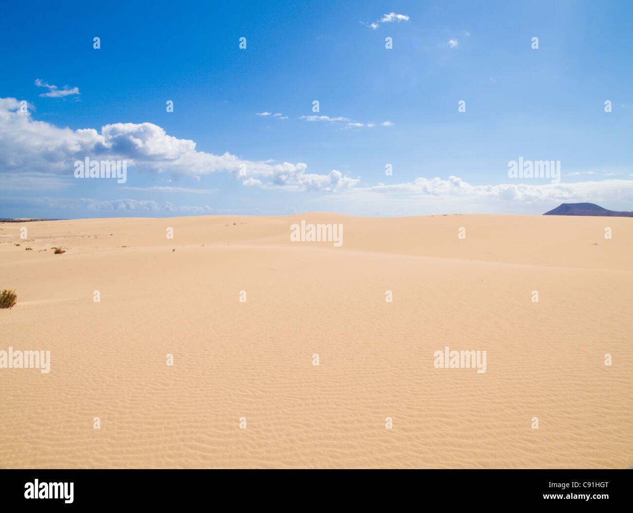 Fuerteventura; Corralejo sand dunes nature park; Montana Roja Stock