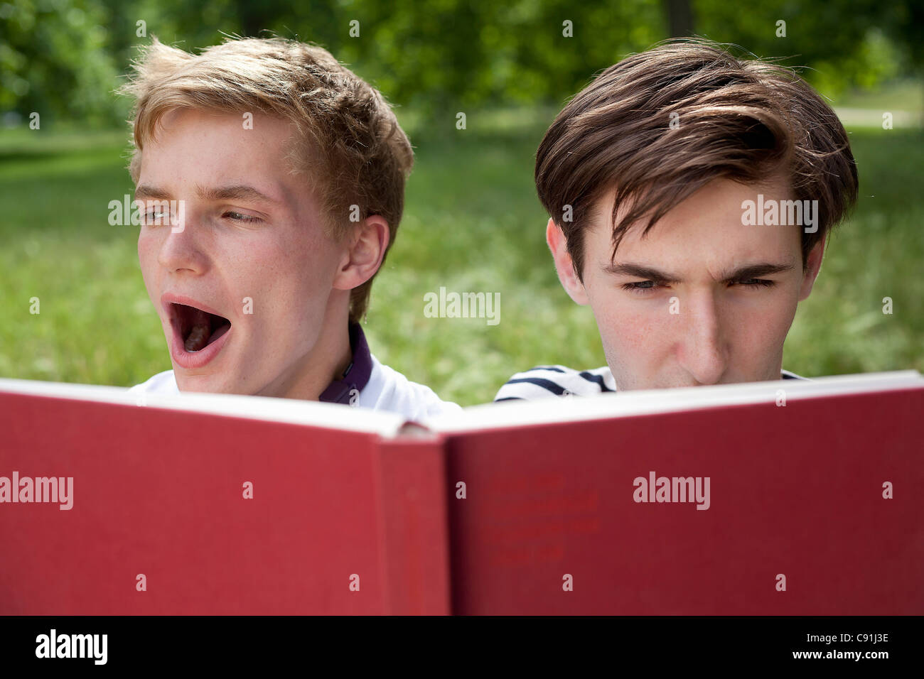 Teenage boys reading in park Stock Photo
