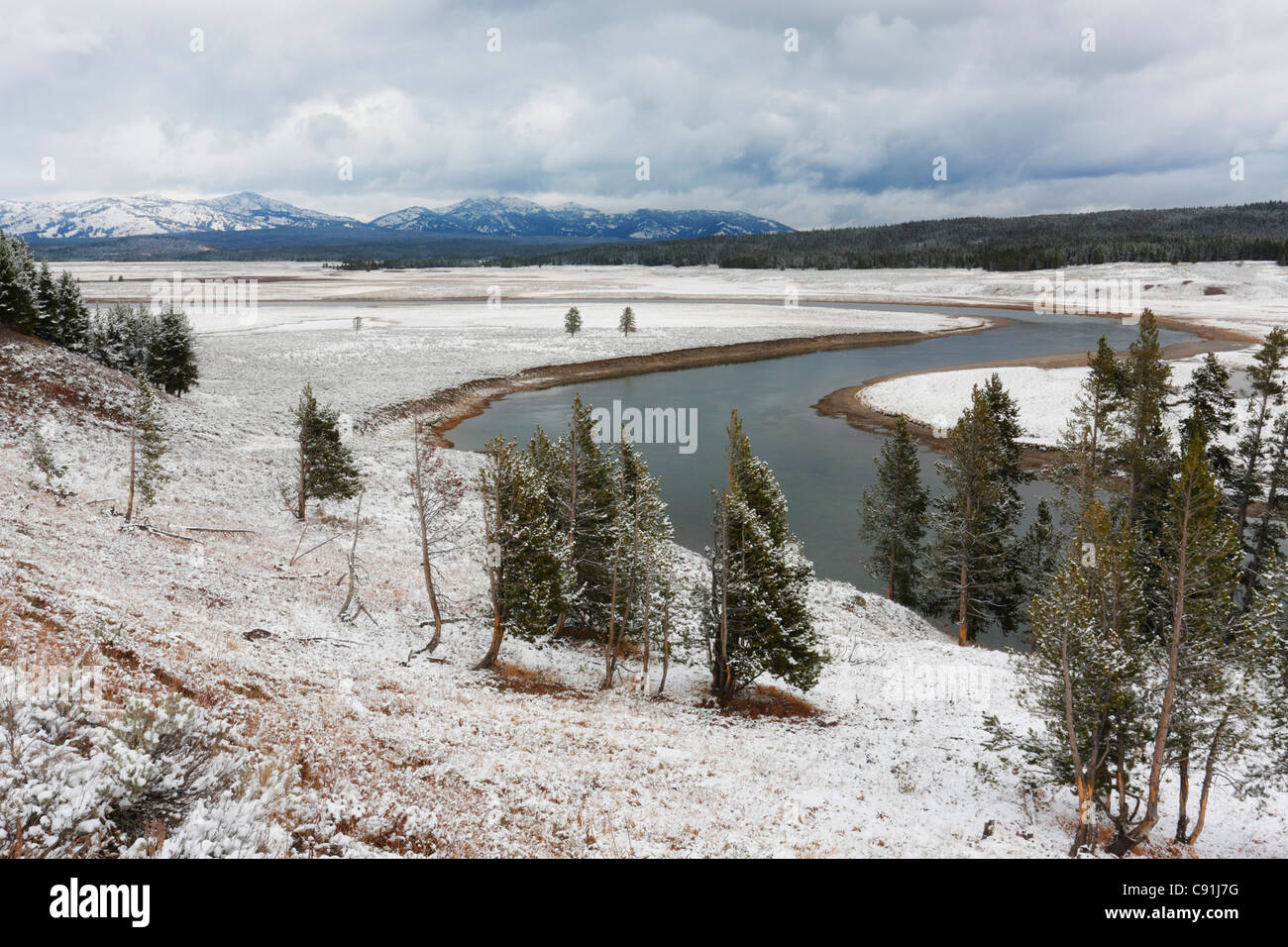 Hayden Valley, Yellowstone NP, Wyoming (Estados Unidos Stock Photo Alamy