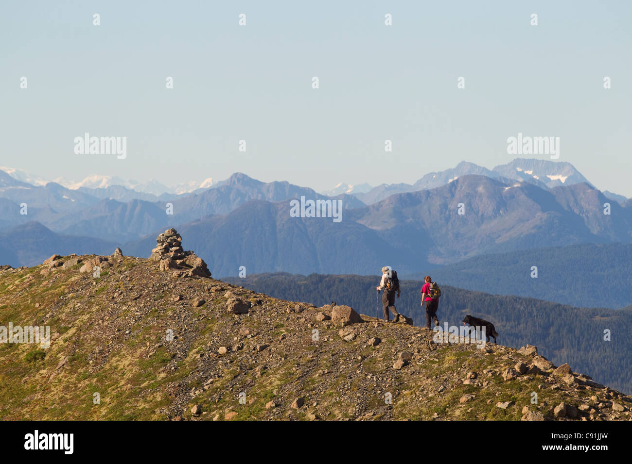 two hikers and dogs hiking on Heney Ridge Trail, Chugach National Forest near Cordova, Southcentral Alaska, Summer Stock Photo
