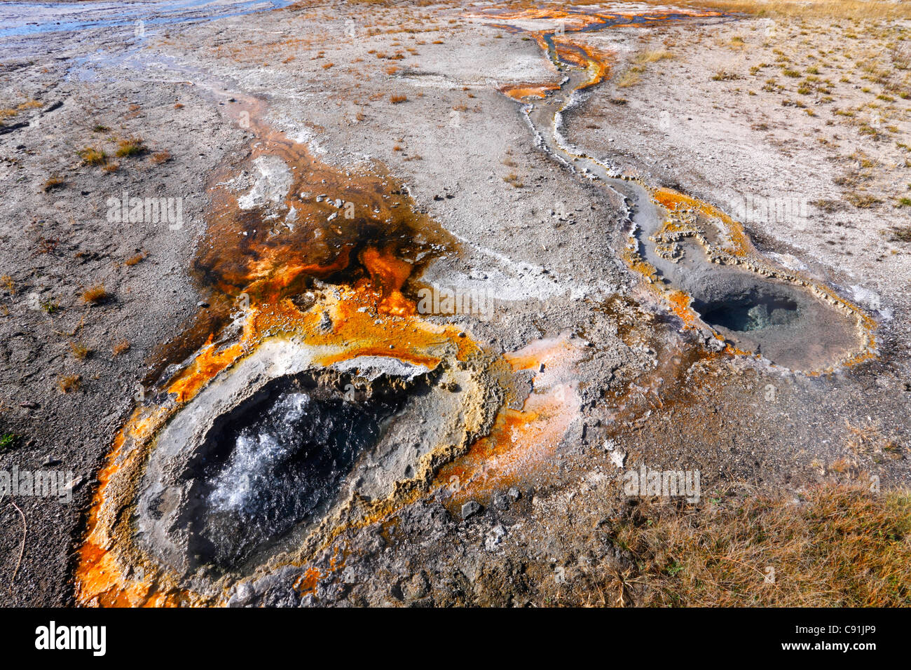 Thermophilic bacteria hires stock photography and images Alamy