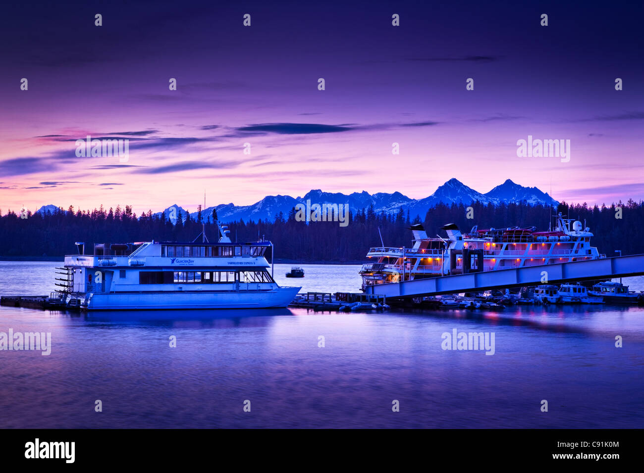 Bartlett Cove: Your Gateway to Glacier Bay's Majesty