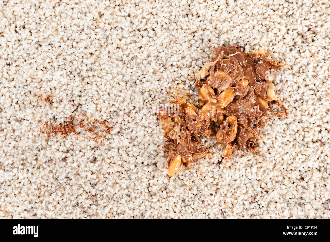 A gooey chocolate candy with caramel and nuts is melted and stuck to brand new carpeting. Stock Photo