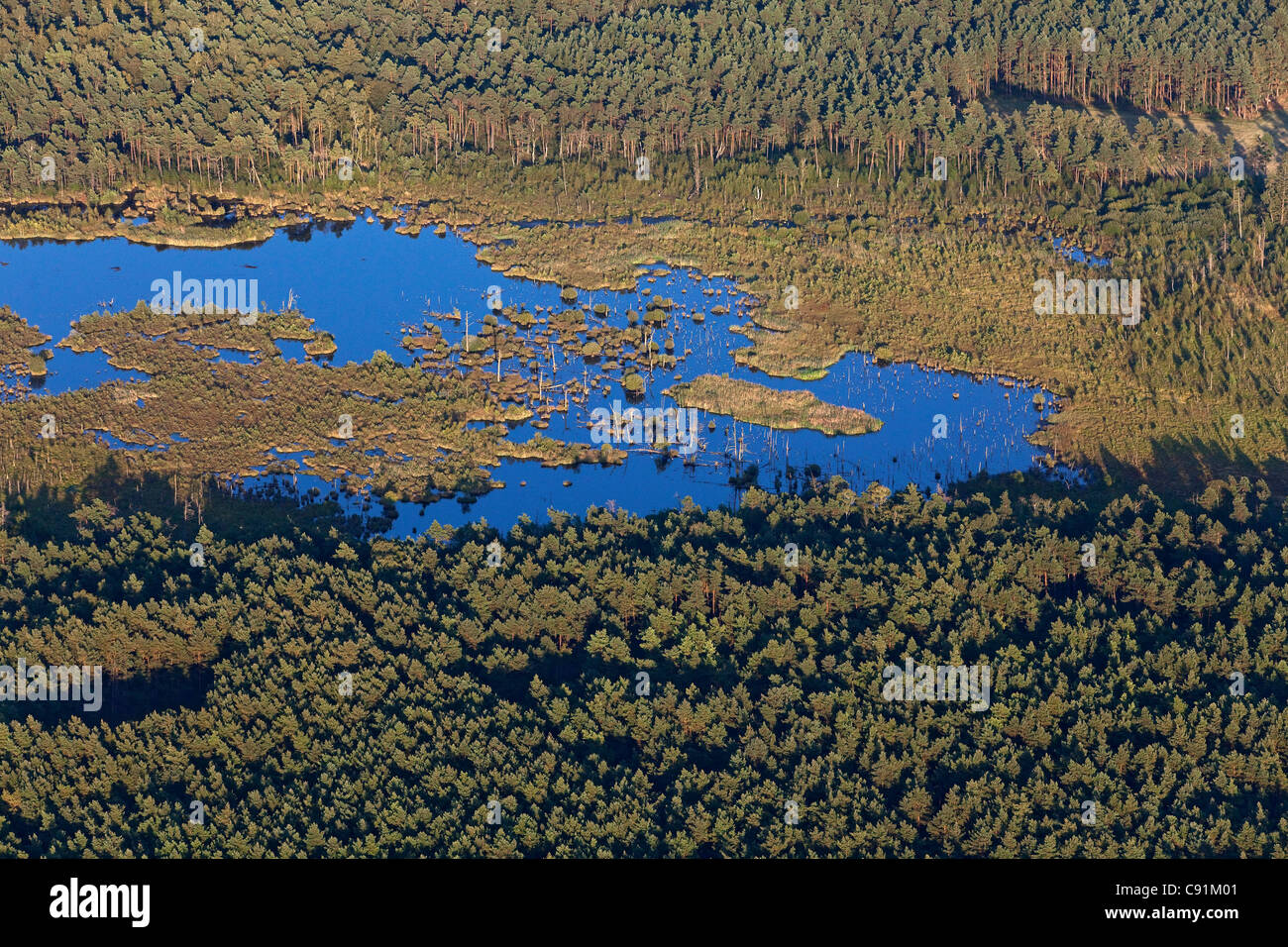 Aerial photo of a moor landscape in the Lueneburg heath, nature reserve, Lower Saxony, Germany Stock Photo