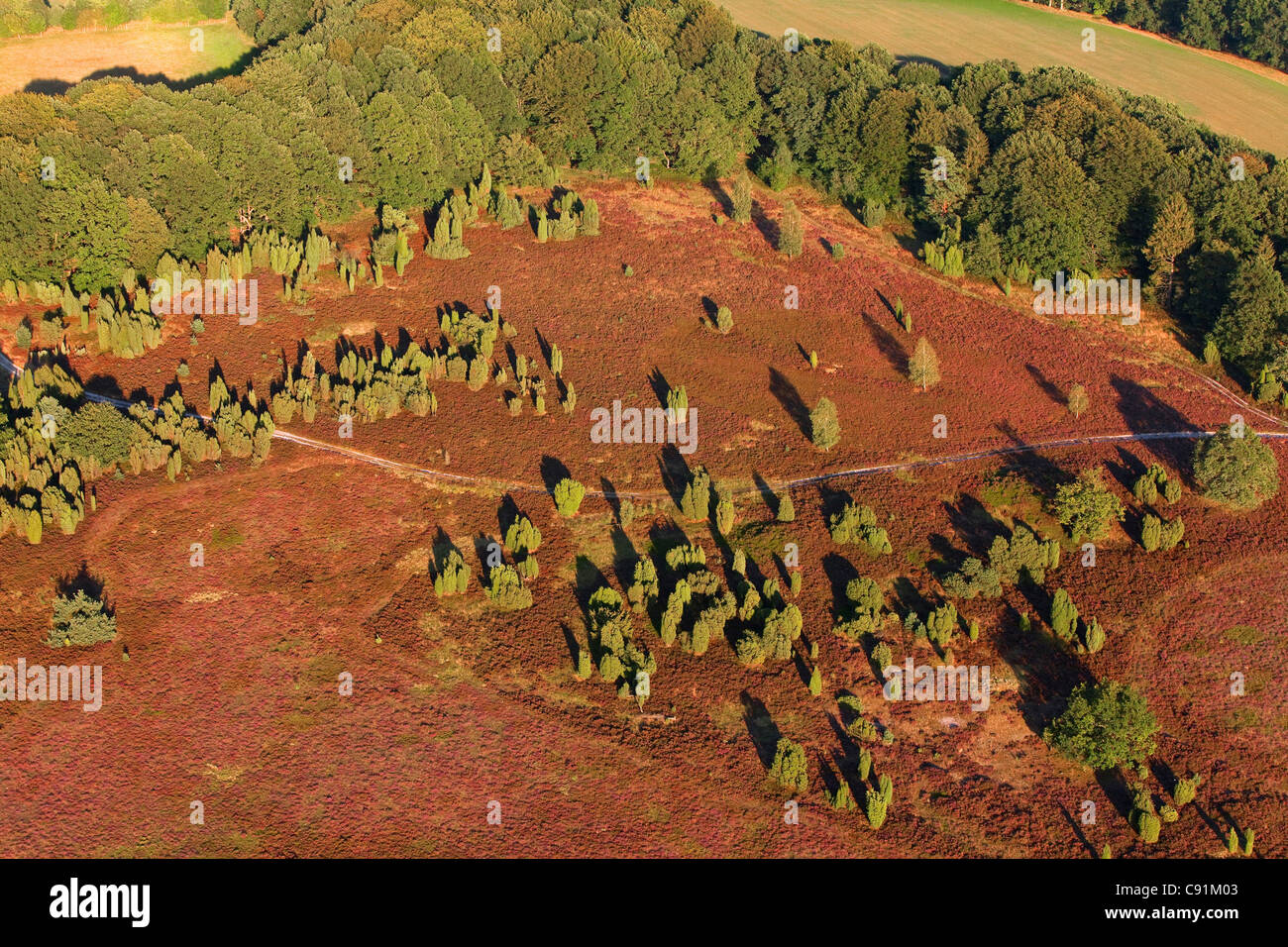 Aerial photo of the Lueneburg heath, nature reserve, Lower Saxony, Germany Stock Photo