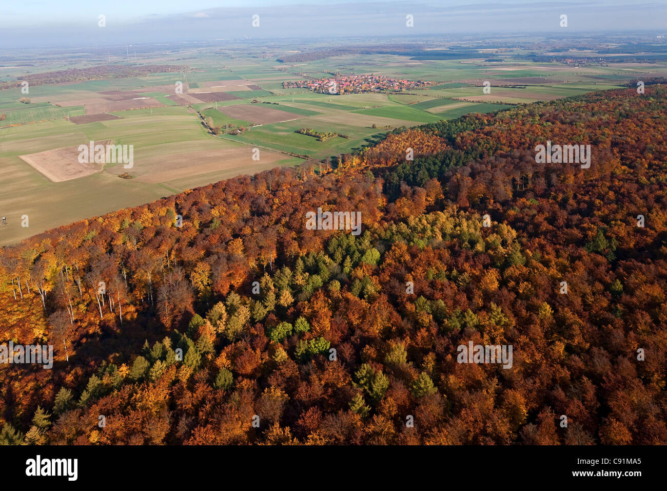 Aerial view of mixed forest in autumn colours Elm-Lappwald nature park UNESCO Geo park Koenigslutter am Elm Lower Saxony Germany Stock Photo