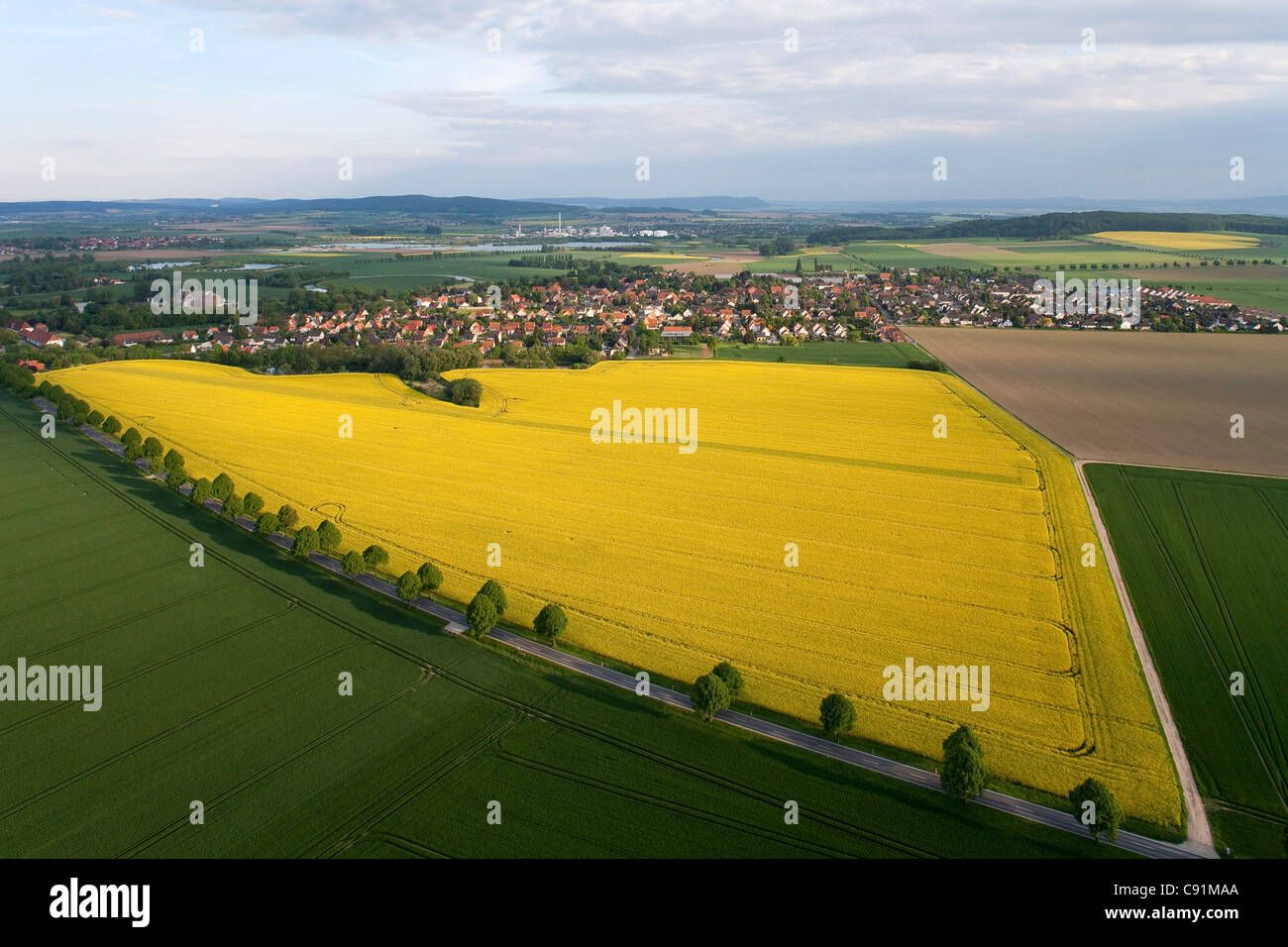 Aerial view of yellow flowering rapeseed crops near Verden, Lower Saxony, Germany Stock Photo