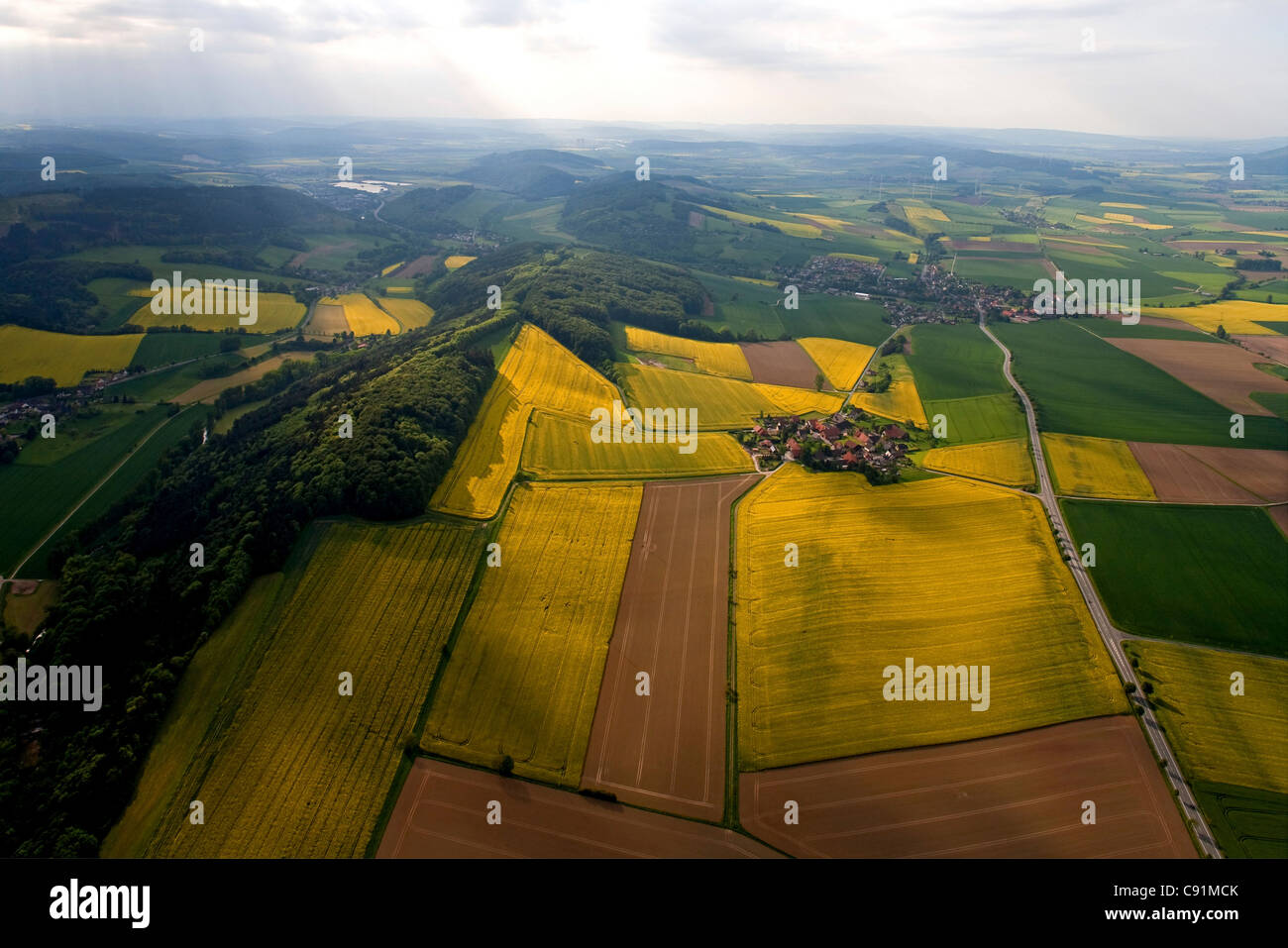 Aerial view of rapeseed fields in flower, village of Tuchtfeld in the Weser Hills, Lower Saxony, Germany Stock Photo