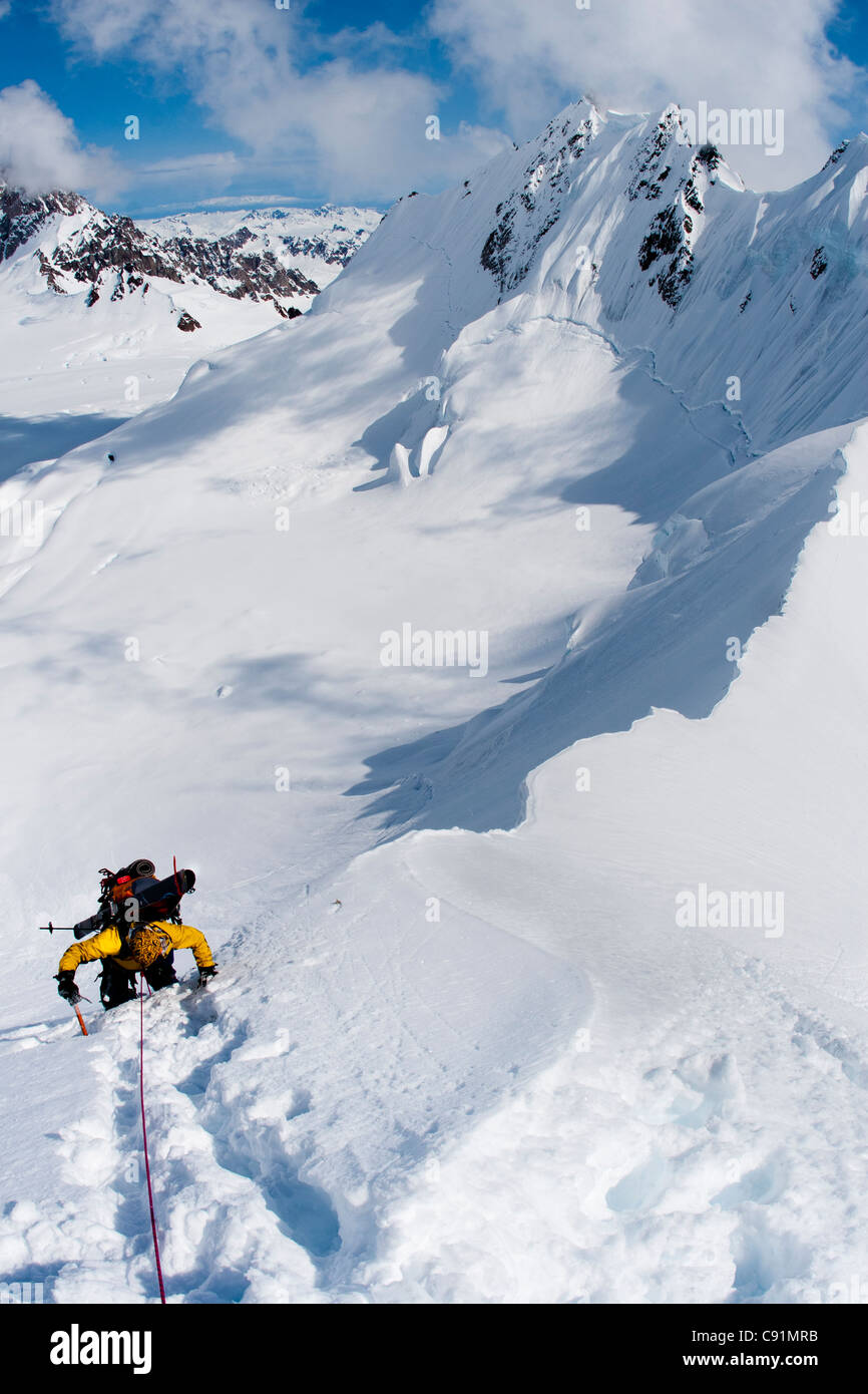 Mountaineer on a rope belay climbing down The Great Wall, from a 8700 ...