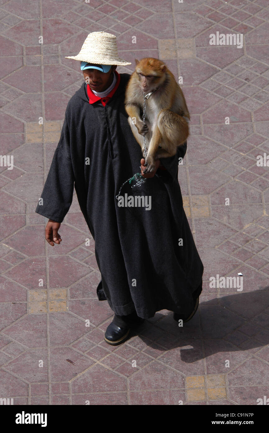 Trainer with monkey on a chain in Place Djemaa el Fna square marketplace in  Marrakech Morocco Stock Photo - Alamy