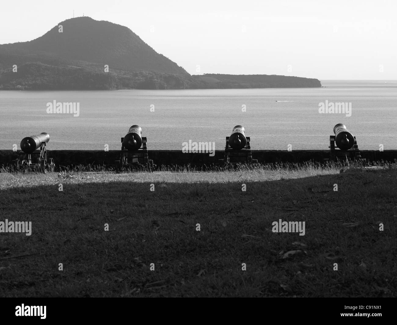 Row of Canons overlooking Prince Rupert Bay at Fort Shirley, Cabrits National Park, Commonwealth of Dominica, West Indies. Stock Photo