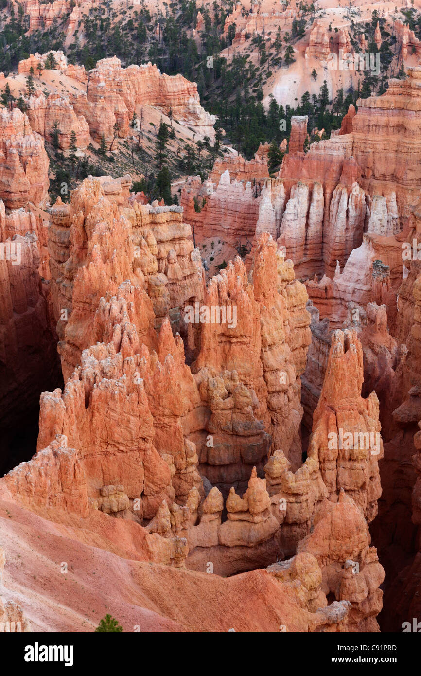 Hoodoos and rock formations, Bryce Canyon National Park Stock Photo - Alamy