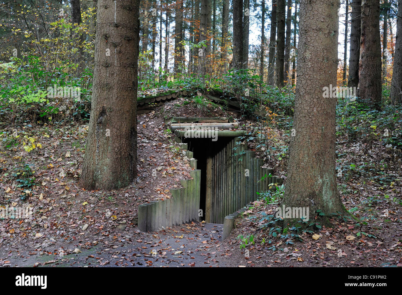 Entrance of cagna, WW2 hideout of Belgian maquisards resistance fighters at Wolfsschlucht I, Brûly-de-Pesche, Ardennes, Belgium Stock Photo