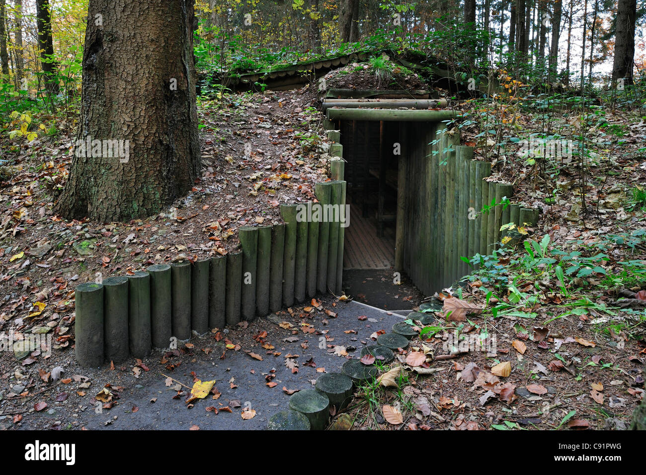 Entrance of cagna, WW2 hideout of Belgian maquisards resistance fighters at Wolfsschlucht I, Brûly-de-Pesche, Ardennes, Belgium Stock Photo
