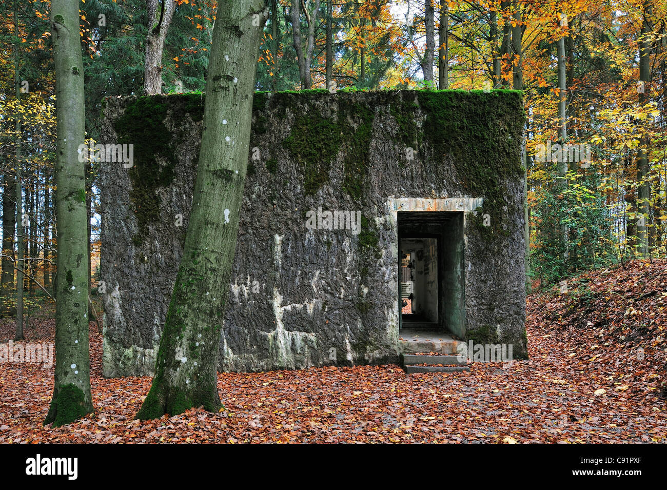 WW2 Wolfsschlucht I open air museum showing Adolf Hitler's bunker in the forest at Brûly-de-Pesche, Belgian Ardennes, Belgium Stock Photo