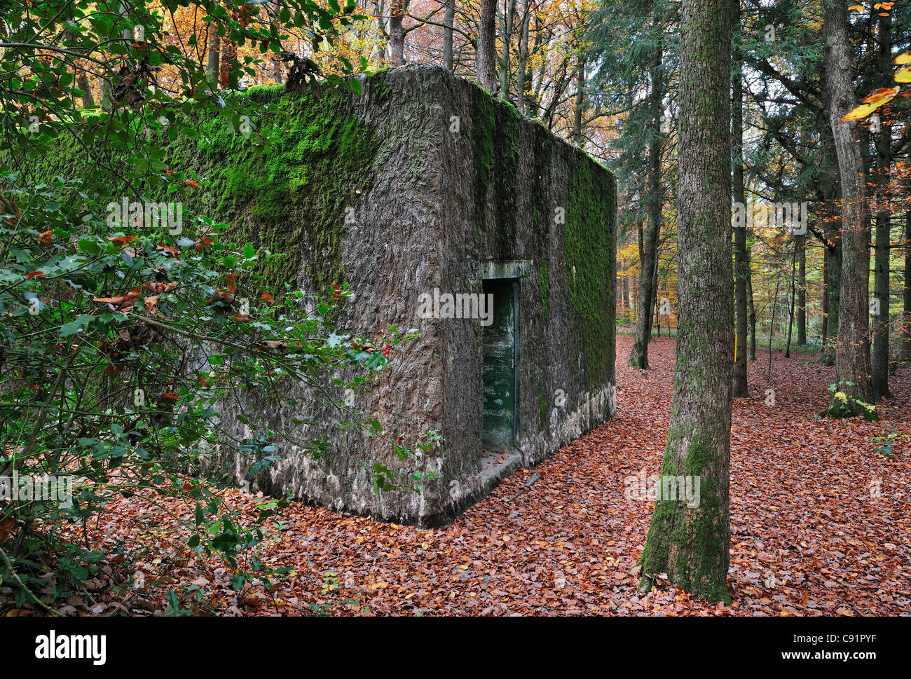 WW2 Wolfsschlucht I open air museum showing Adolf Hitler's bunker in the forest at Brûly-de-Pesche, Belgian Ardennes, Belgium Stock Photo