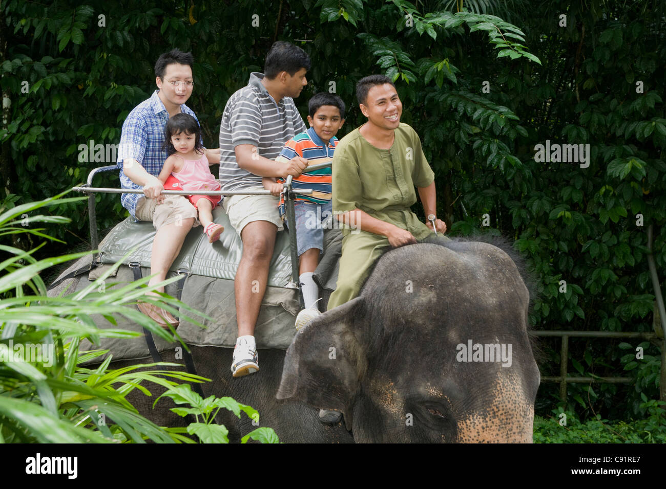 Zoo elephant hires stock photography and images Alamy