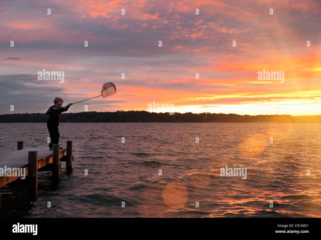 Boy fishing with net in lake Stock Photo