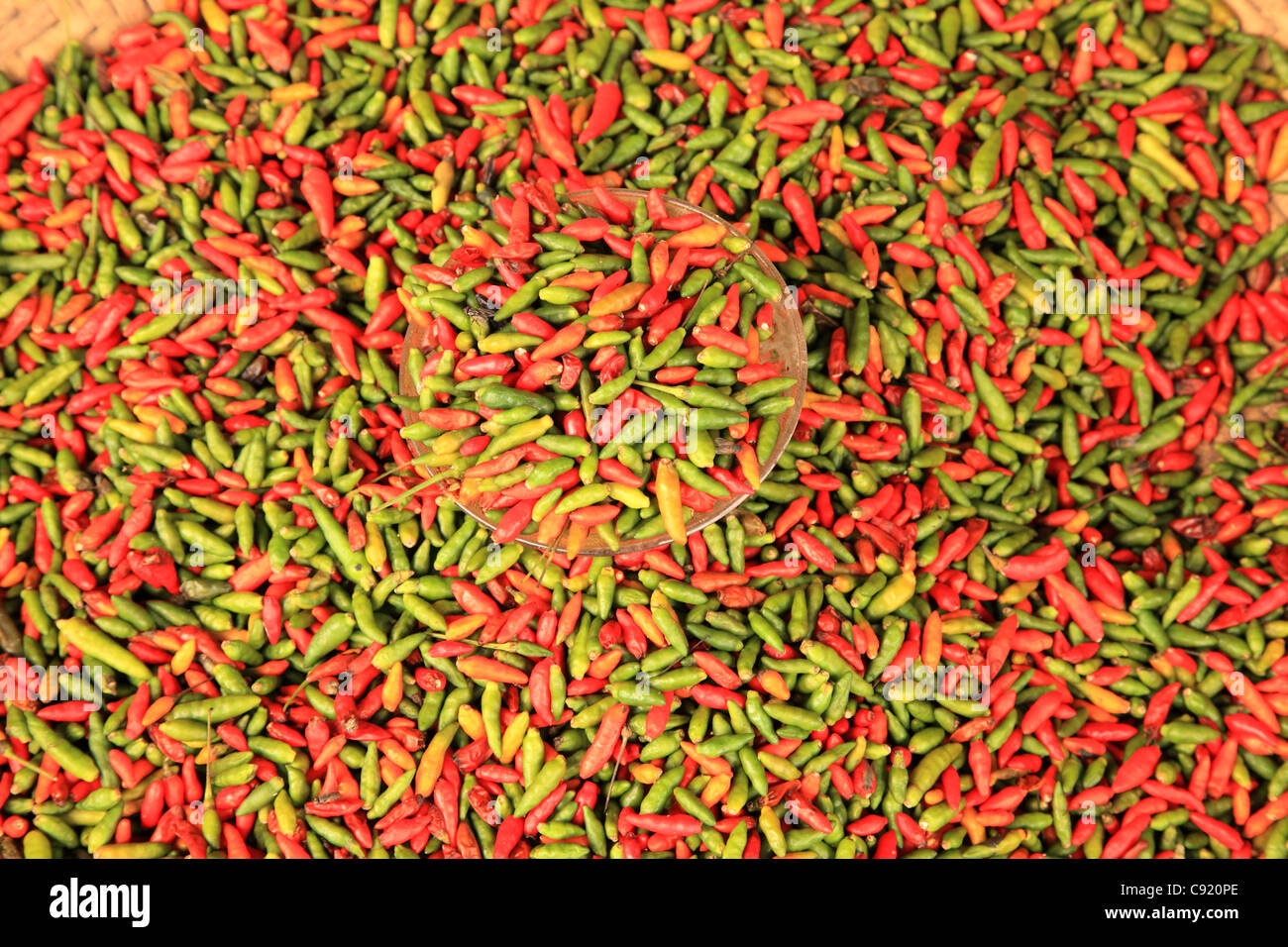 Chillies or chilli peppers of the capsicum plant are a staple of the