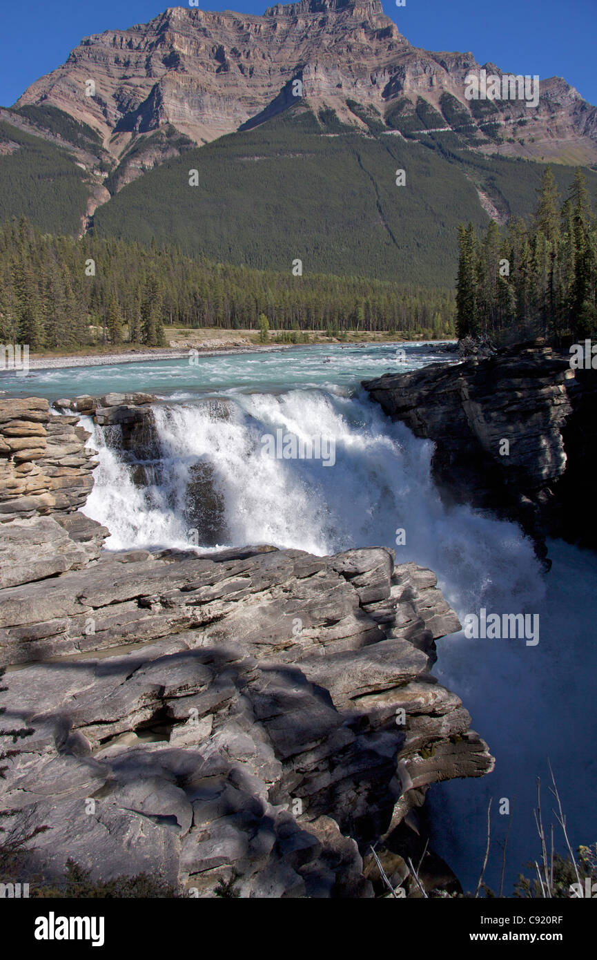 The Athabasca falls is in the Banff national park. Jasper National Park, Canada Stock Photo