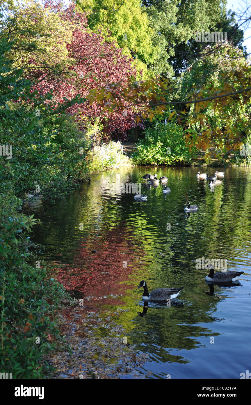 Palmers green london hires stock photography and images Alamy