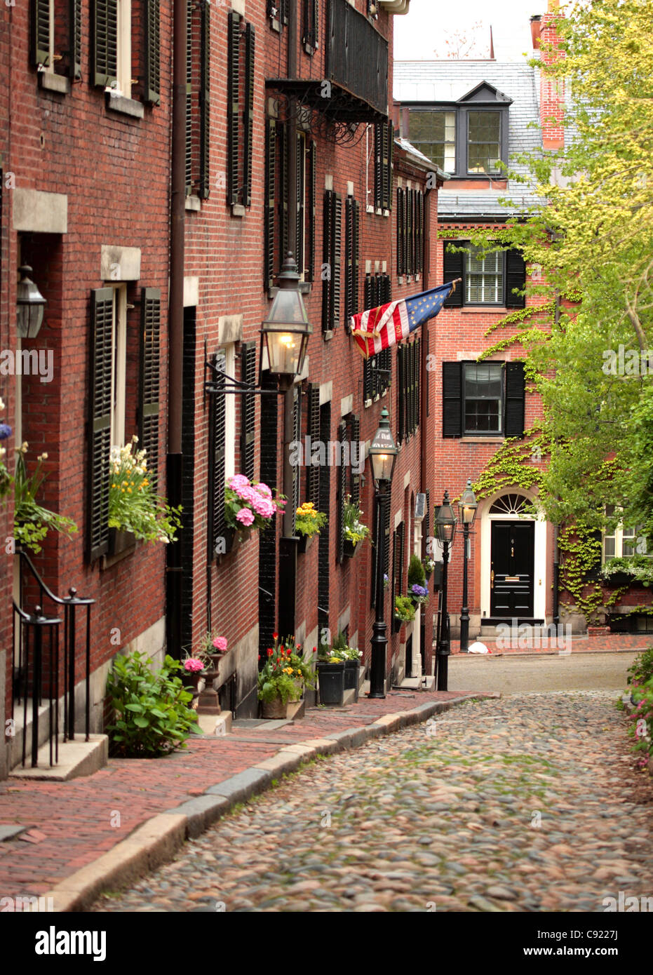 Beacon Hill Neighborhood