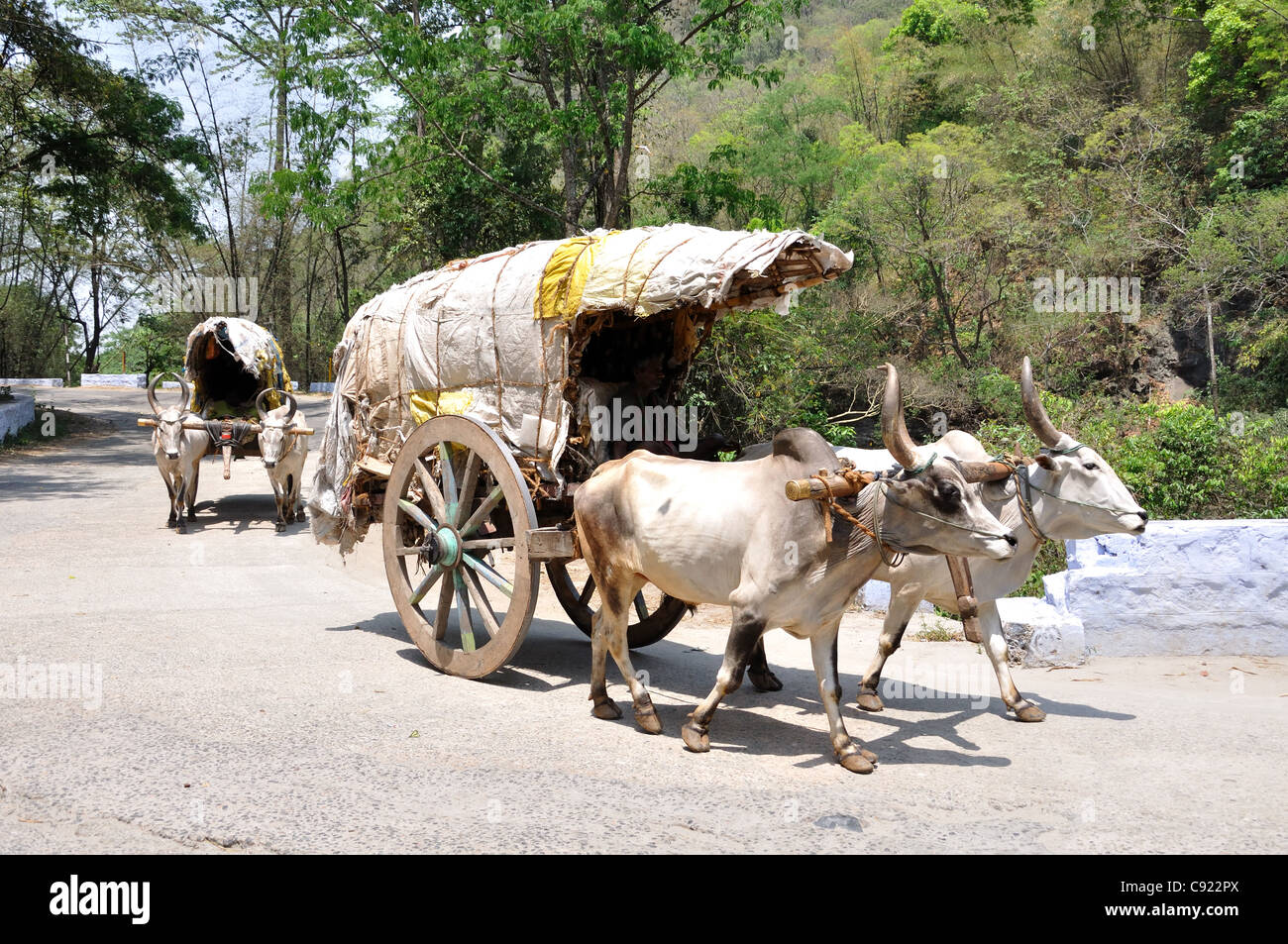 Indian Bullock Cart Stock Photo Alamy