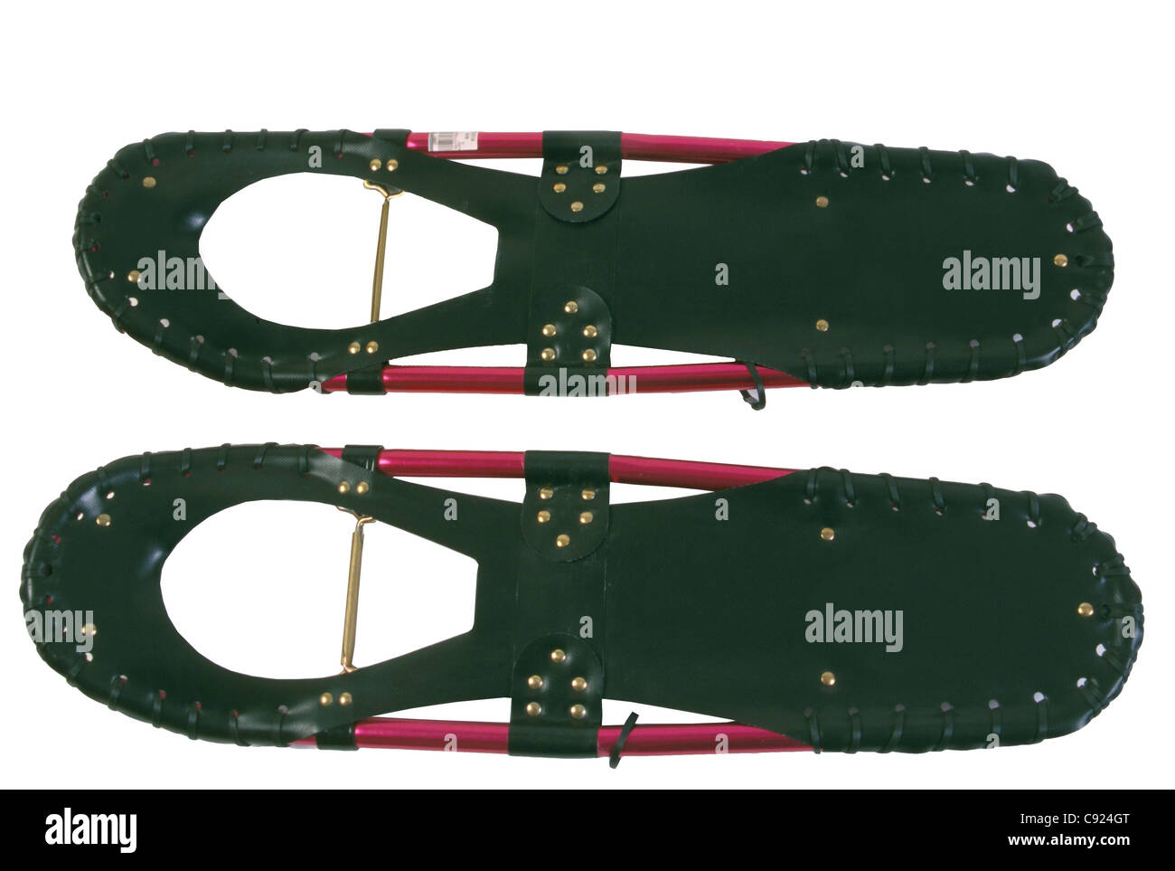 Snowshoe Studio Portrait Stock Photo Alamy