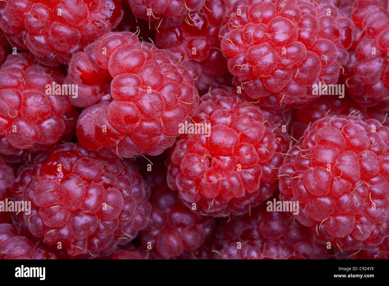 Alaska raspberries hi-res stock photography and images - Alamy