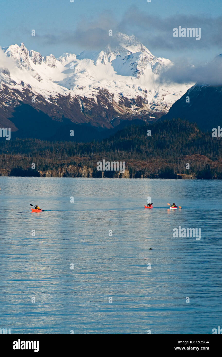 Kachemak bay state marine park hires stock photography and images Alamy