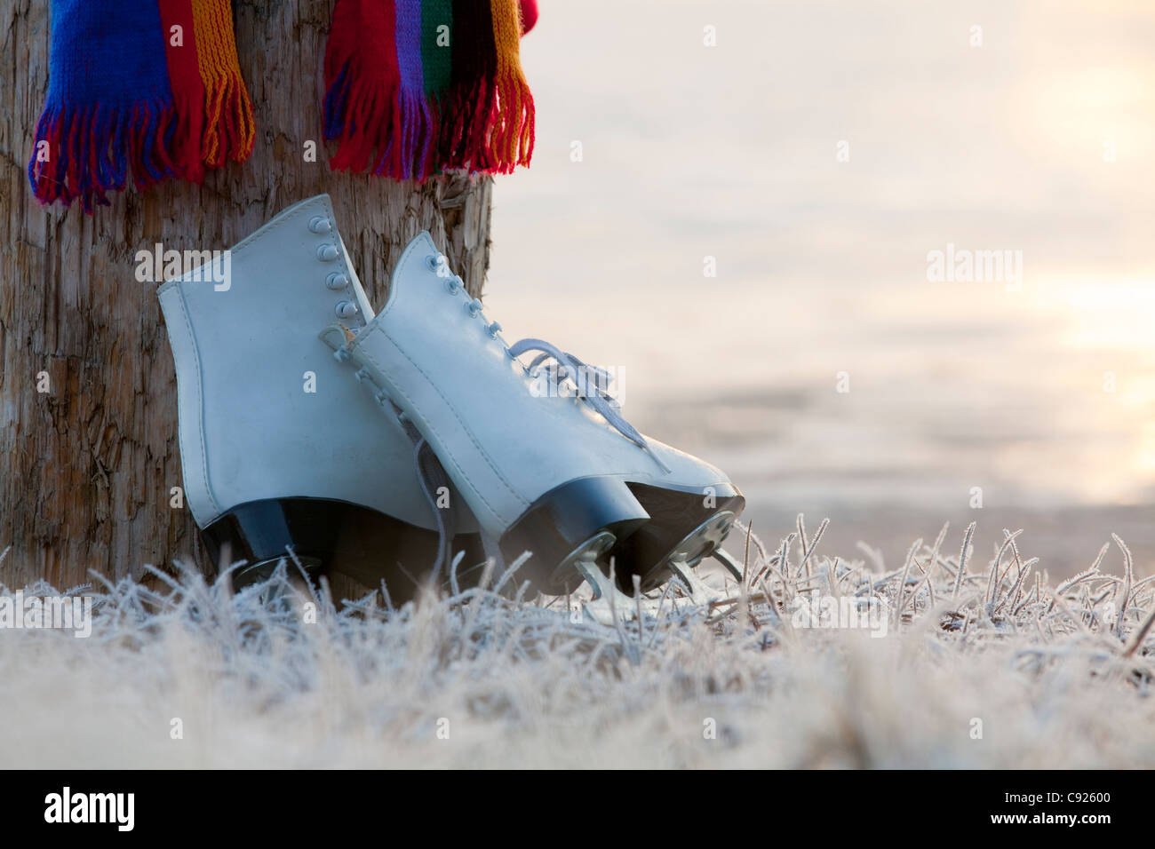 Pair of figure skates lean against a tree stump amongst frosted
