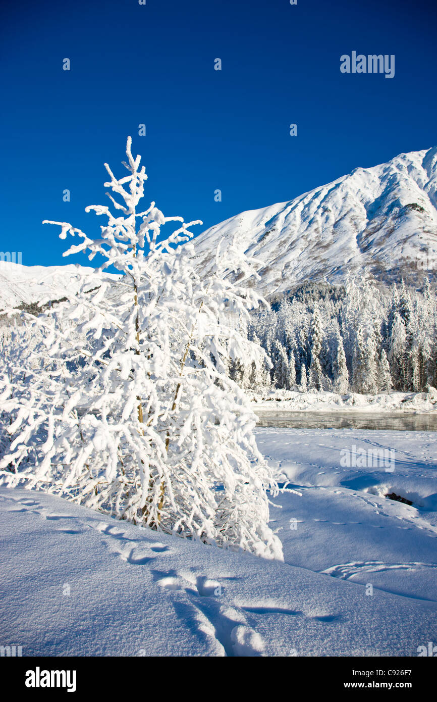 Snow covered landscape along the East Fork of the Six Mile Creek on the Kenai Peninsula in the Chugach National Forest, Alaska Stock Photo
