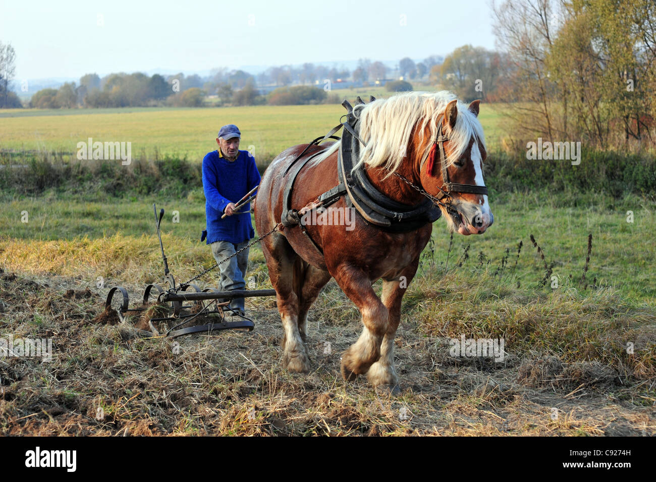 Poland, Bodzentyn, Swietokrzyskie Mountains, dragging with a horse Stock Photo