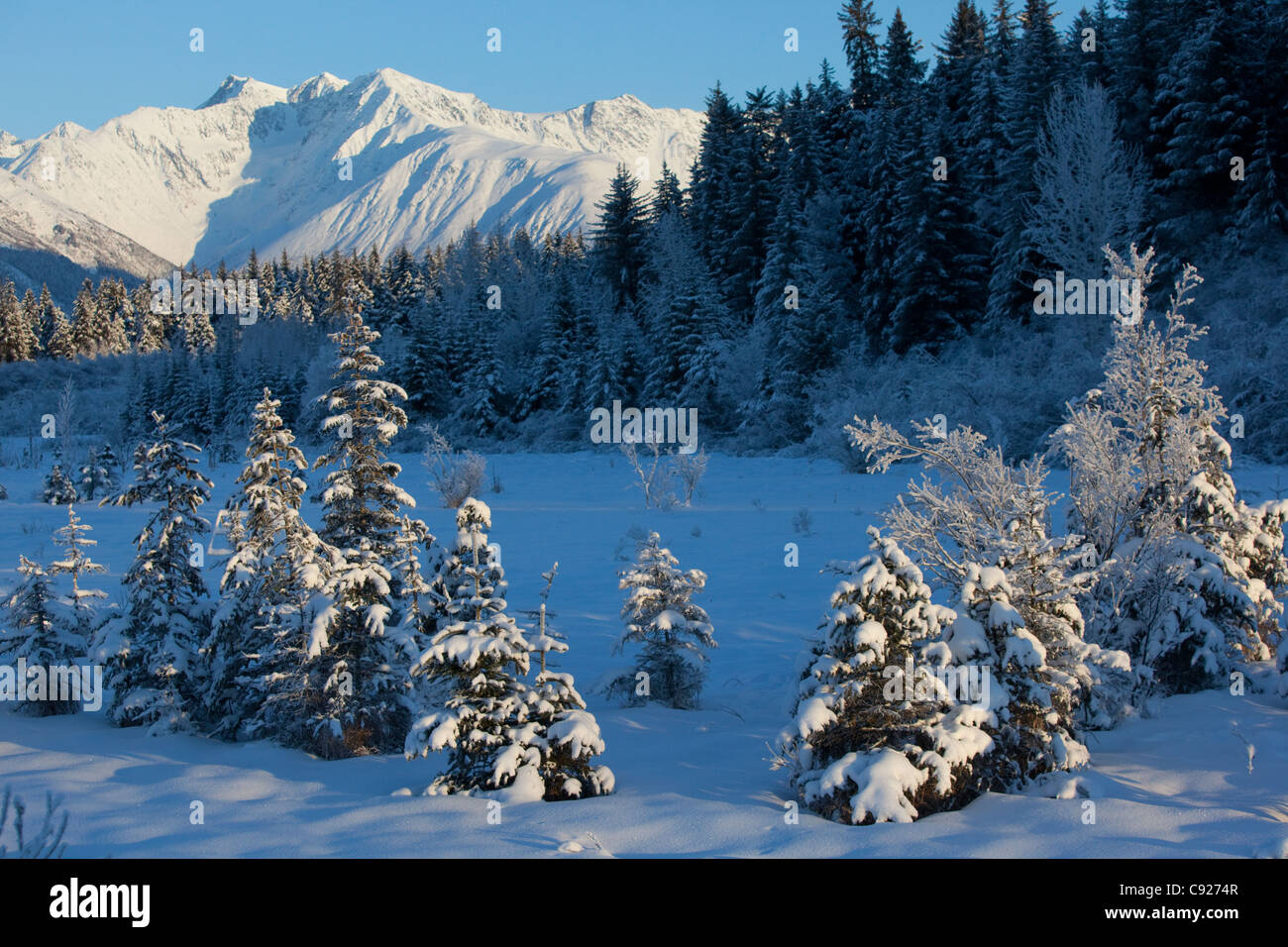 Scenic view of Chugach Mountains and snowcovered landscape, Southcentral Alaska, Winter Stock Photo
