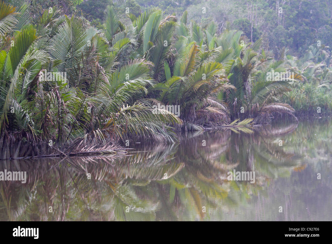 View of Sekonyer River in Tanjung Puting National Park Borneo Stock Photo