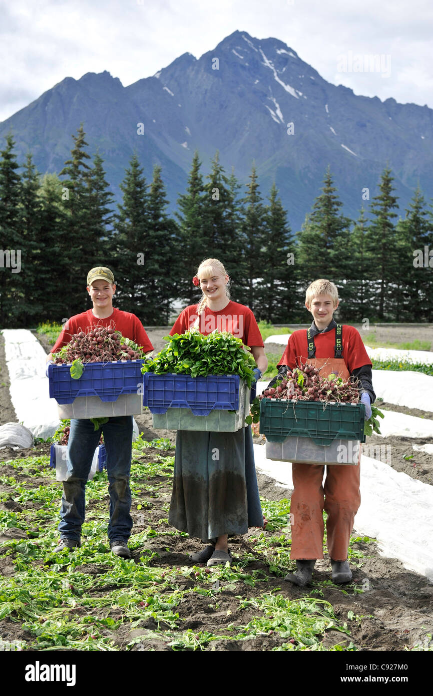 Pickers carry full crates of vegetables at an organic farm in the Matanuska Valley near Palmer