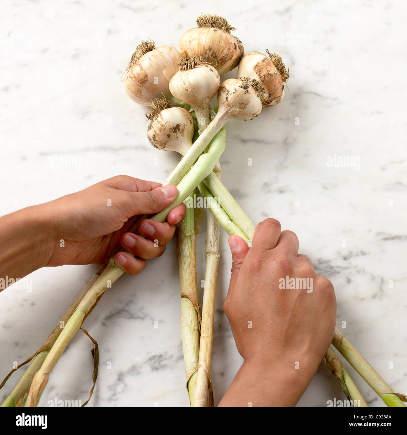 Making garlic plait Stock Photo